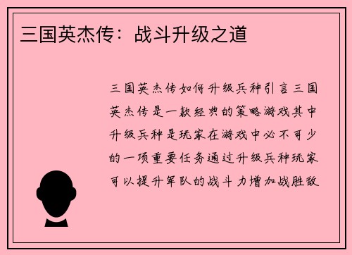 三国英杰传：战斗升级之道